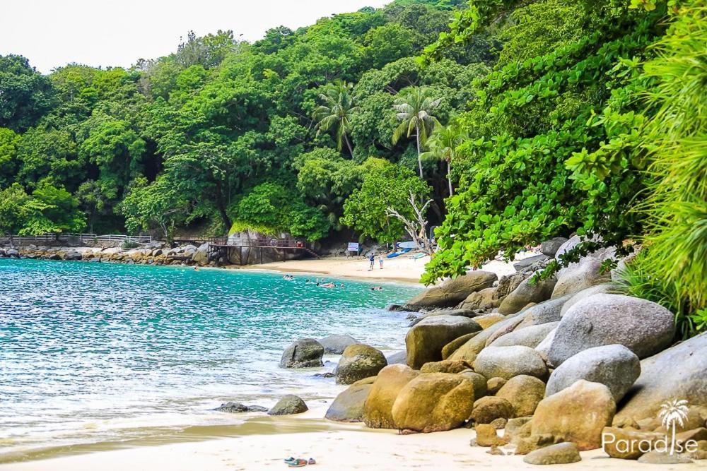 Paradise Beach Backpackers Hostel Patong Экстерьер фото