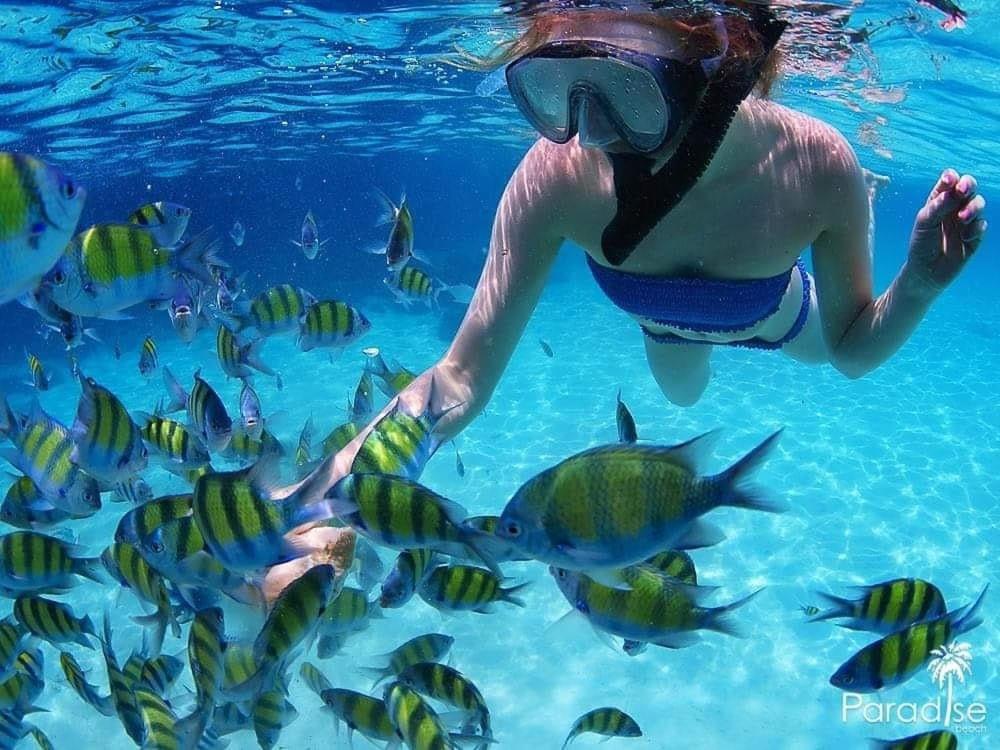 Paradise Beach Backpackers Hostel Patong Экстерьер фото